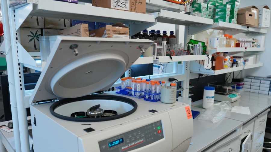 Descubren cómo las células cancerosas ‘asfixian’ al sistema inmunitario