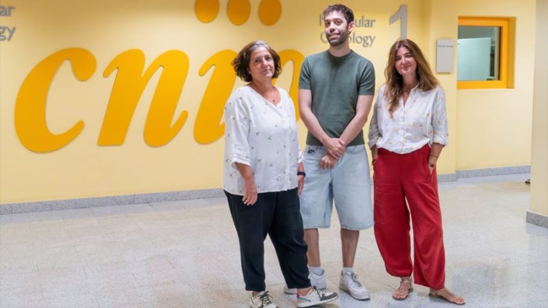 Descubren cómo las células evitan errores al duplicar su material genético
