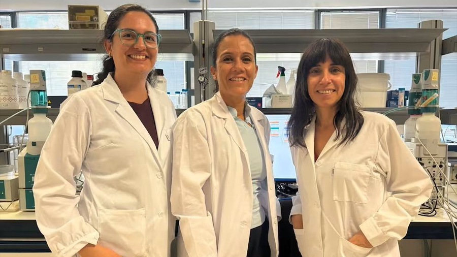 Investigadores descubren en la Cueva de Nerja una nueva pista sobre el origen de la dolomita