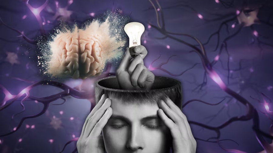 Investigadores descubrieron cómo el hipocampo clasifica los recuerdos por categorías y probaron que es posible leer la mente mediante de señales neuronales en tiempo real