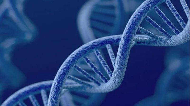 Crean computadora de ADN en una gota de agua