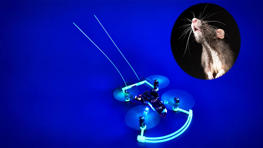 Crean dron con ‘bigotes’ de ratón para guiarse en la oscuridad durante labores de rescate