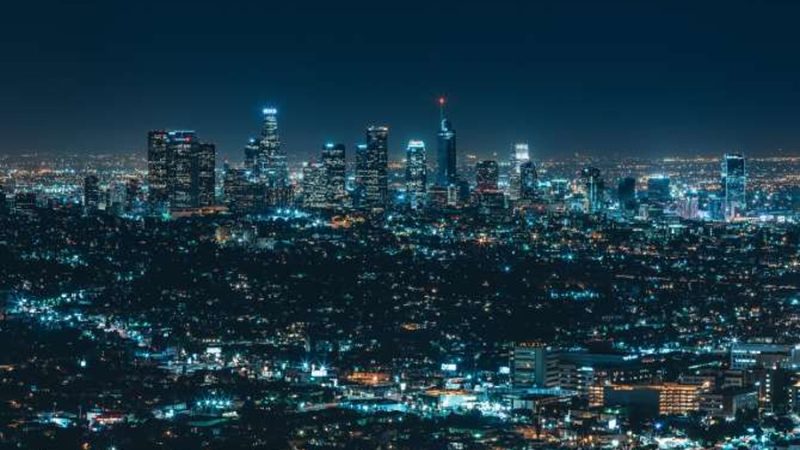 El impacto invisible de la contaminación lumínica en la fauna nocturna
