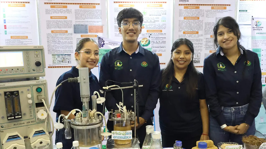 ¿Basura agrícola convertida en gasolina? Estudiantes de Veracruz desarrollan bioetanol con residuos de caña