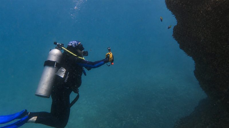 El mapa oculto del Golfo de México: ya van 125 arrecifes y ecosistemas submarinos descubiertos