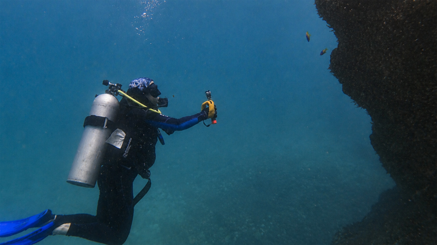 El mapa oculto del Golfo de México: ya van 125 arrecifes y ecosistemas submarinos descubiertos