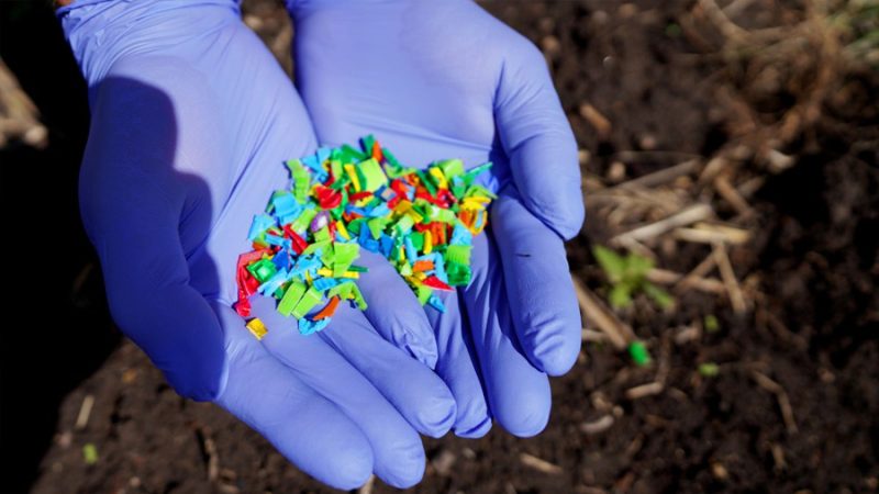 IPN halla microplásticos en sangre y orina de mexicanos; detectan desde fibras hasta compuestos de llantas
