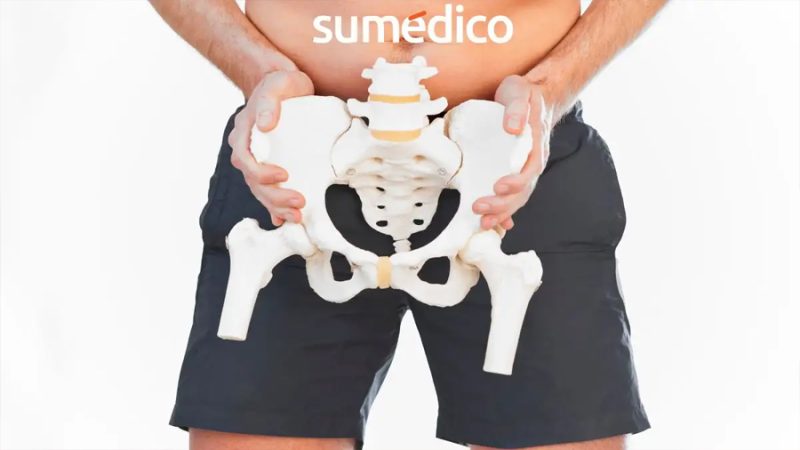Investigadores descubren por qué la pelvis masculina difiere de la femenina