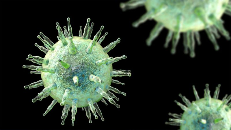 Crean anticuerpos capaces de bloquear el virus que infecta al 95% de las personas