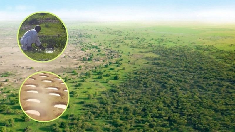 Parecen simples agujeros, pero están devolviendo la vida a un desierto en África: así funciona la ‘sonrisa de la tierra’
