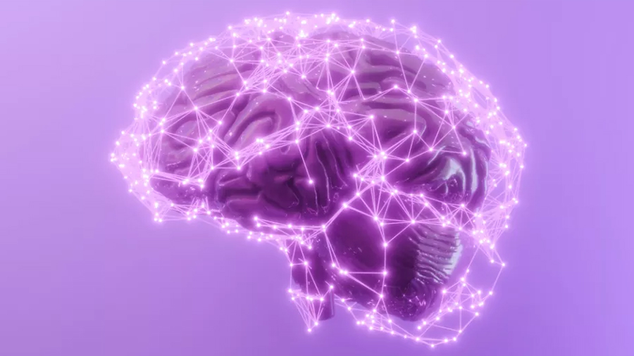 Científicos crean el atlas más detallado de la corteza prefrontal con más de seis millones de células
