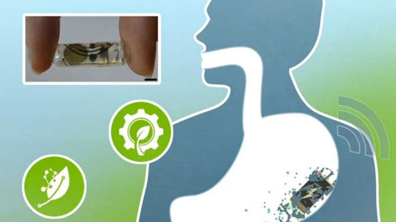 Pilas eléctricas que se descomponen en el tracto gastrointestinal inofensivamente