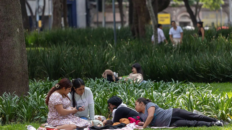 Amigos en la adultez: estudio revela sus beneficios y las claves para conservar amistades