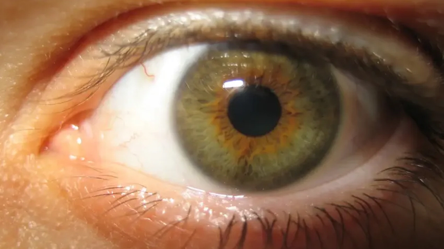 Tus ojos podrían revelar qué tan rápido estás envejeciendo, incluso antes de que lo notes