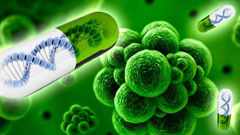 Resistencia de bacterias a antibióticos causa 5 millones de muertes al año en el mundo