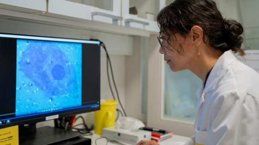 Retinas ciegas reaccionan a la luz tras inyectarles unas nanopartículas especiales