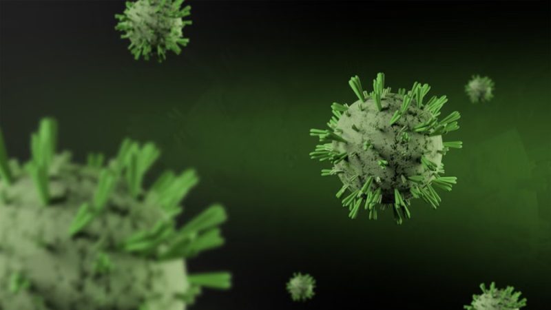 Investigadores crean biblioteca de virus contra bacterias resistentes