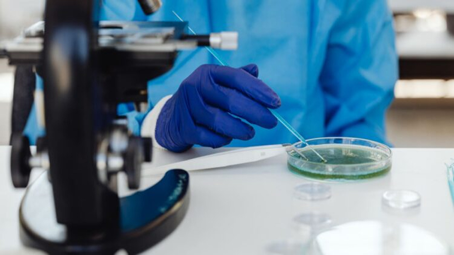 Científicos crean bacterias capaces de aumentar la longevidad en casi un 50 %