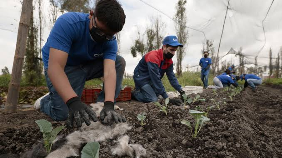 El cabello reciclado se convierte en una herramienta ambiental en México