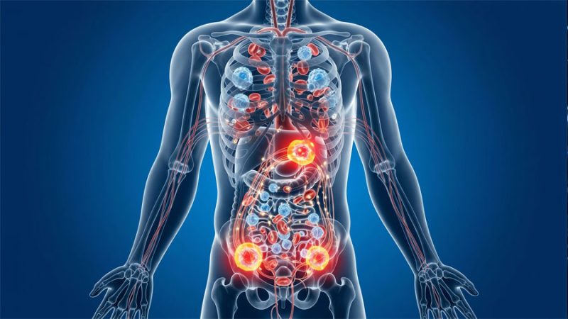 Crean una red inalámbrica dentro del cuerpo que conecta pequeños implantes para activar tratamientos