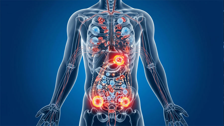 Crean una red inalámbrica dentro del cuerpo que conecta pequeños implantes para activar tratamientos