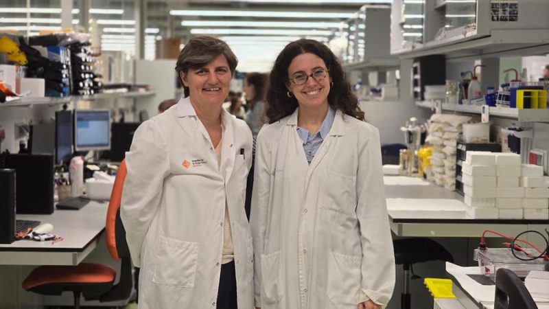 Investigadores españoles descubren que la sangre de las personas con síndrome de Down puede revelar si van a padecer Alzheimer con hasta dos décadas de antelación
