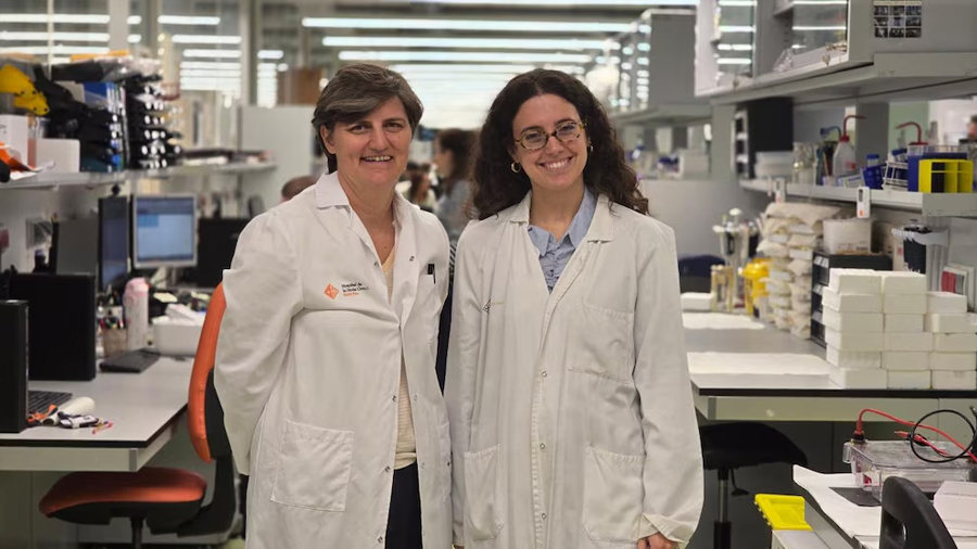 Investigadores españoles descubren que la sangre de las personas con síndrome de Down puede revelar si van a padecer Alzheimer con hasta dos décadas de antelación