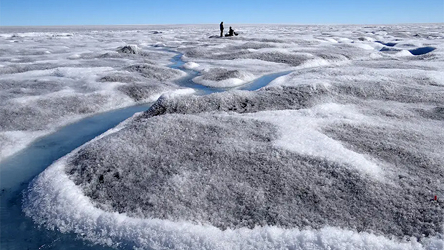 Exploran la superficie de Groenlandia y descubren que el hielo se está volviendo negro