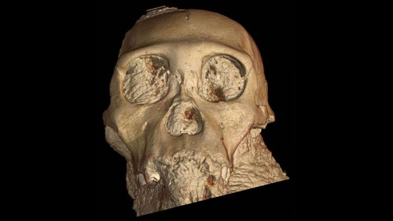 Cómo los sincrotrones revelan los secretos ocultos dentro de los fósiles