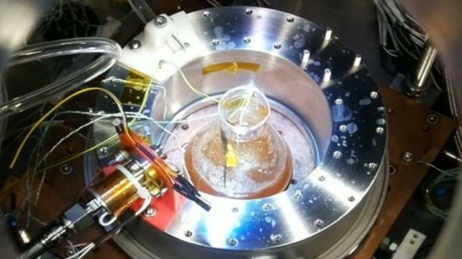 Supervivencia de bacterias Bacillus subtilis en Marte