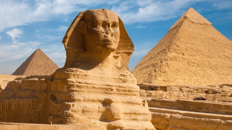 Los investigadores descubren una nueva especie de cocodrilo extinto en la misma roca utilizada para construir la Gran Esfinge de Egipto