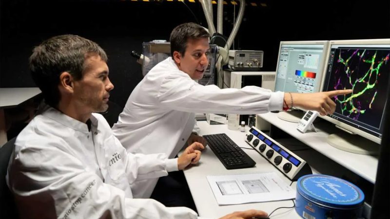 Investigadores españoles descubren cómo frenar la metástasis cerebral antes de que despierte