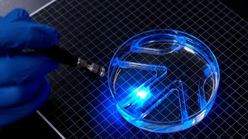 Dan vida a un robot con músculos vivos que nada siguiendo destellos de luz