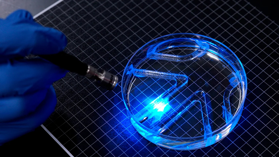 Dan vida a un robot con músculos vivos que nada siguiendo destellos de luz