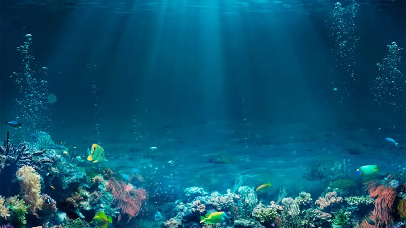 Ponen la ciencia mexicana en el centro de las decisiones climáticas internacionales