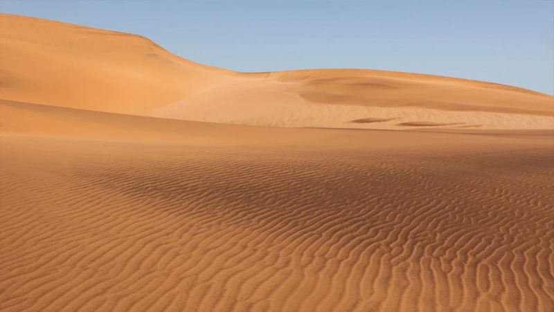 Transforman arena del desierto en una ‘arena viva’ con bacterias y reducen a una sexta parte el paso del agua en el laboratorio